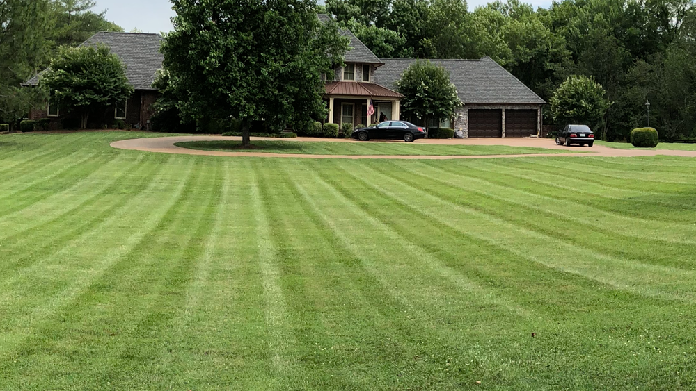 All Photos for Russell's Lawn Care Plus in Nashville, TN