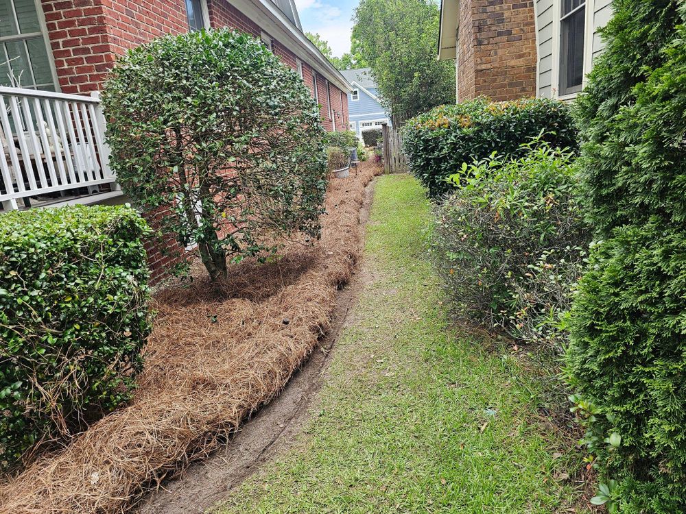 All Photos for 1 Man Does It Lawn Service in Blythewood, SC