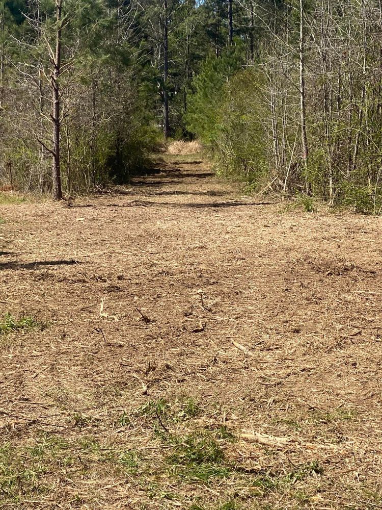 Land Clearing for South Mississippi Land Management LLC in Columbia, Mississippi