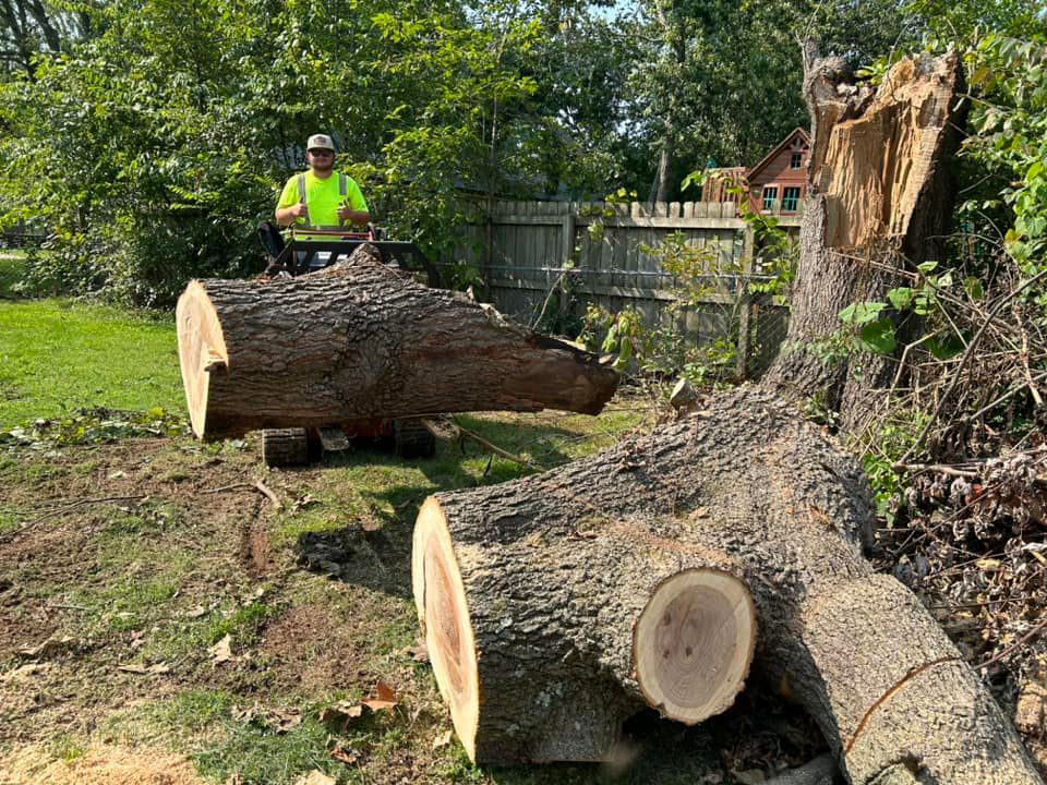 Tree Removal for Logan Tree Care LLC in Springfield, MO