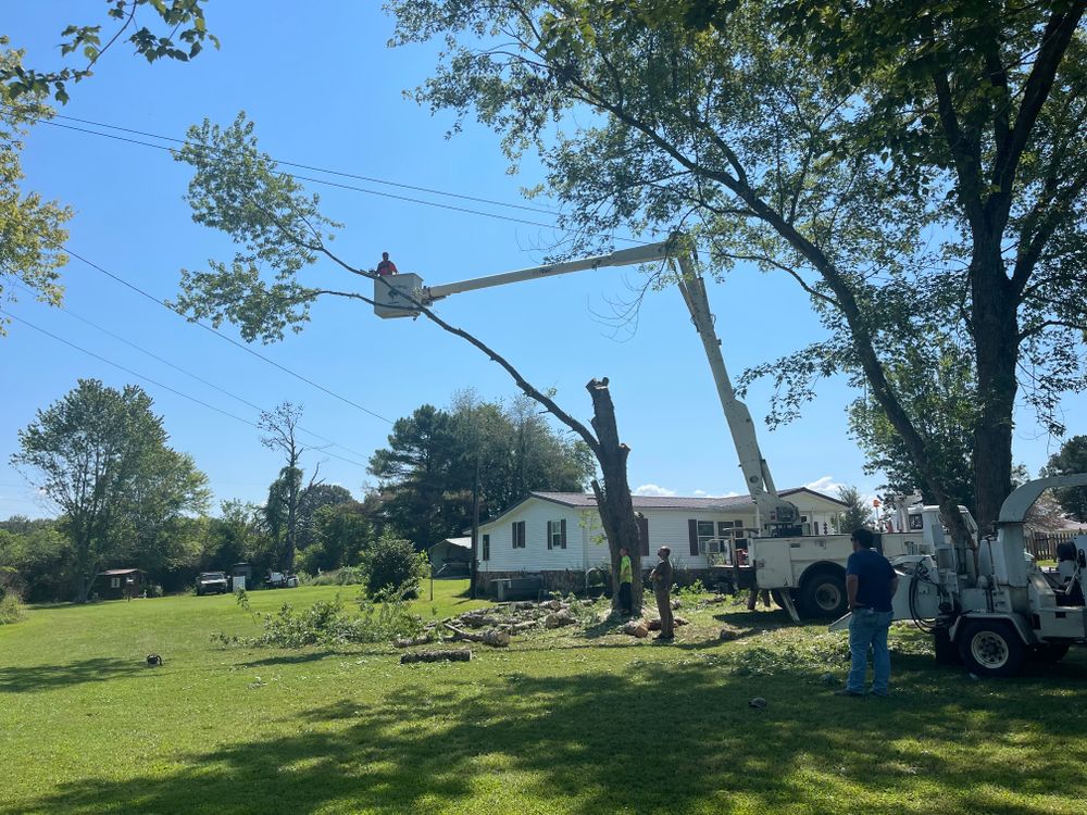 All Photos for Ross Family Tree Service LLC  in Hohenwald, TN
