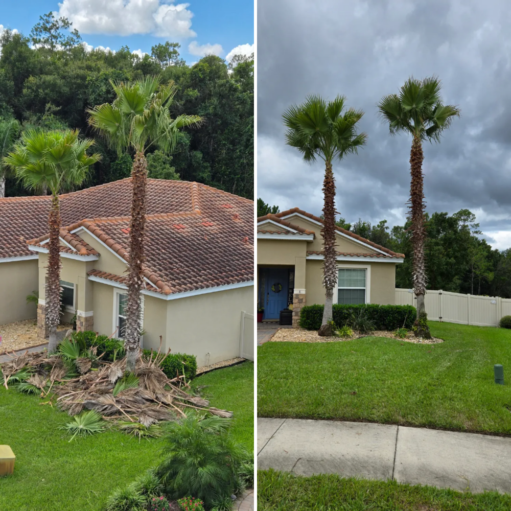 All Photos for Near Me Tree Service, Inc. in DeLand, FL