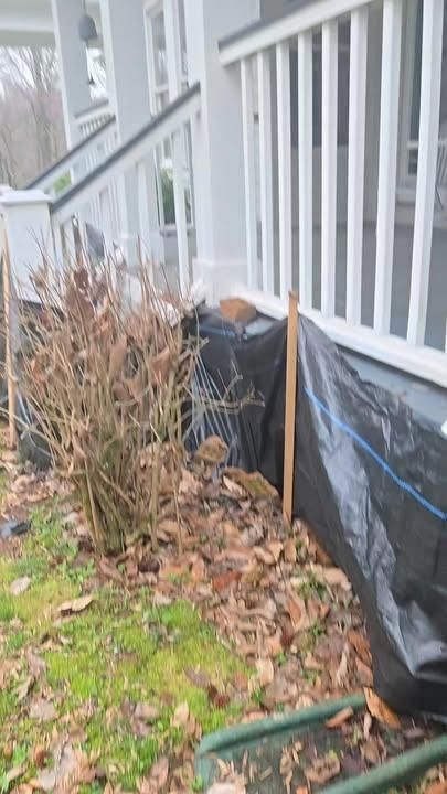 All Photos for Bug Blasterz LLC in Huntsville, AL