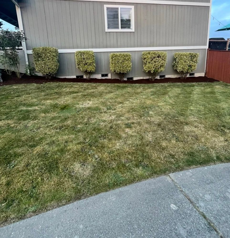 Transform your outdoor space with our Landscape Design & Installation service, combining creative planning, quality plants, and expert craftsmanship to build a beautiful, functional yard tailored to your home. for B.U Landscaping in Everett, WA