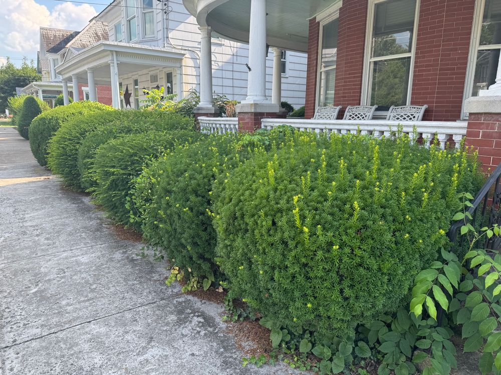 All Photos for Dunn-Rite Landscaping in New Oxford, PA