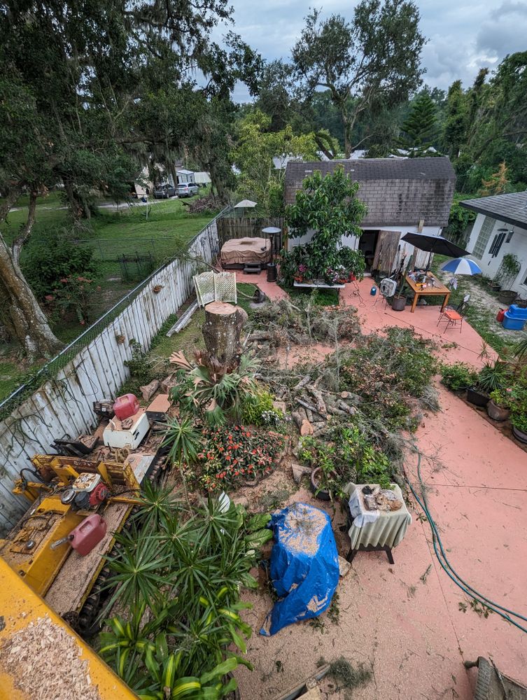 All Photos for Regal Tree Service and Stump Grinding in Wauchula, FL