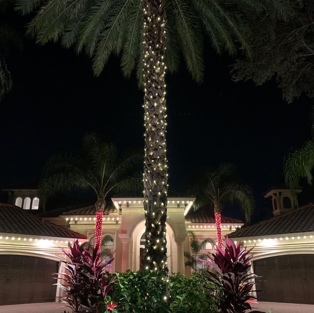 Christmas Light Installation for Coastal Lighting in Ponte Vedra, FL