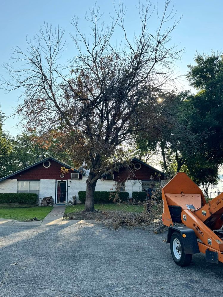 All Photos for Year Round Trees & Concrete Inc. in Fort Worth, TX