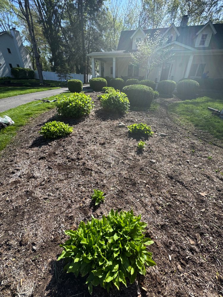 All Photos for H & J Lawn Care Services in Indianapolis, IN