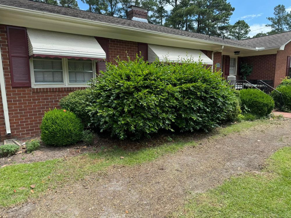 Home Softwash for Sabre's Edge Pressure Washing in Greenville, NC