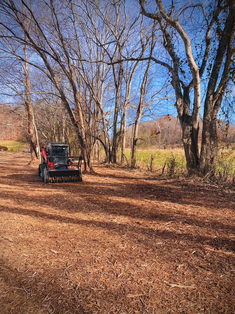 All Photos for Green Land Management in Mount Pleasant, TN