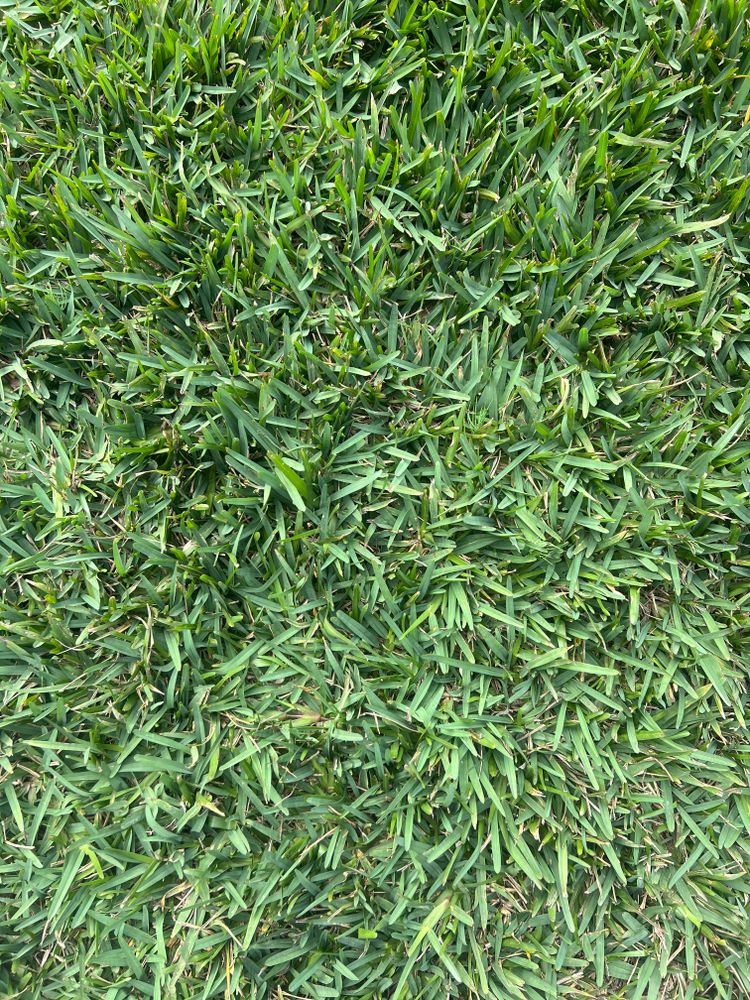 All Photos for C4 Ground Control in Oviedo, FL