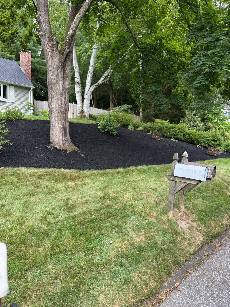 All Photos for Adams Landscaping in Springfield, MA