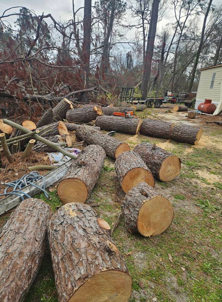 Our Tree Removal service ensures safe, efficient removal of unwanted or hazardous trees, enhancing your property's aesthetics and safety. Trust our experienced team for prompt and professional landscaping care. for Southern Shade Property Services in Ray City, GA