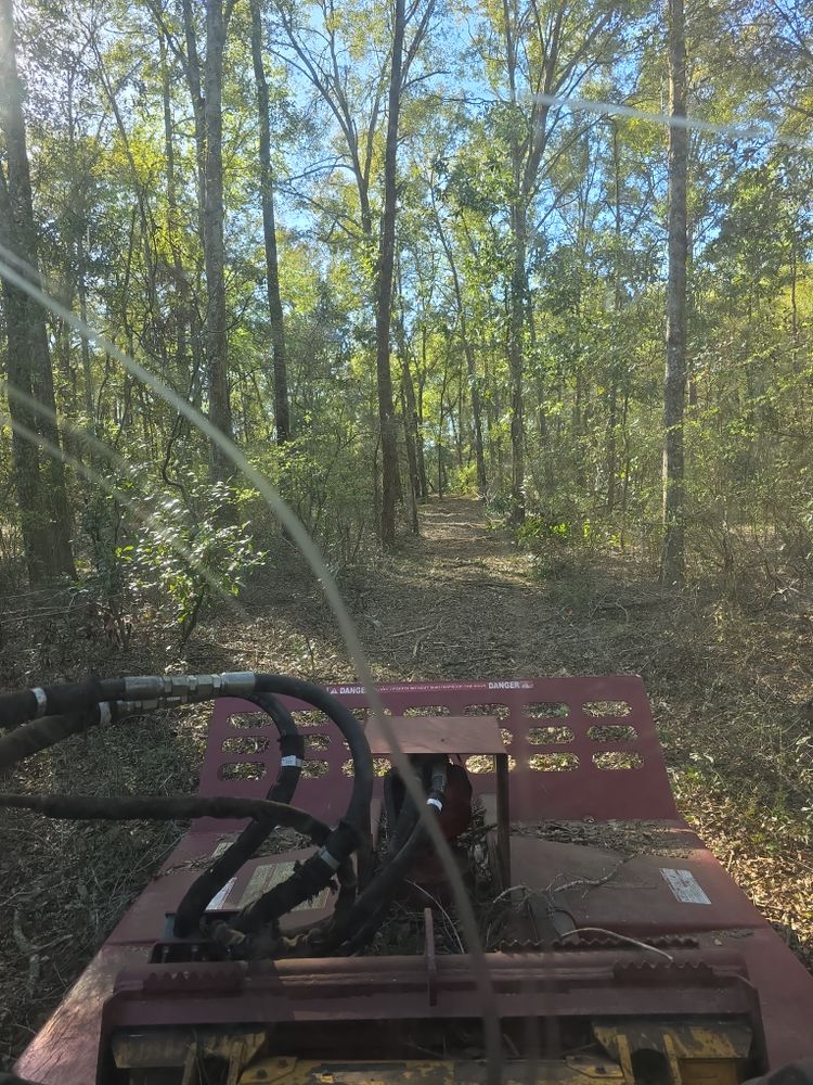 Land Clearing for Blanchards Land Clearing and Site Prep, LLC in Bell, FL