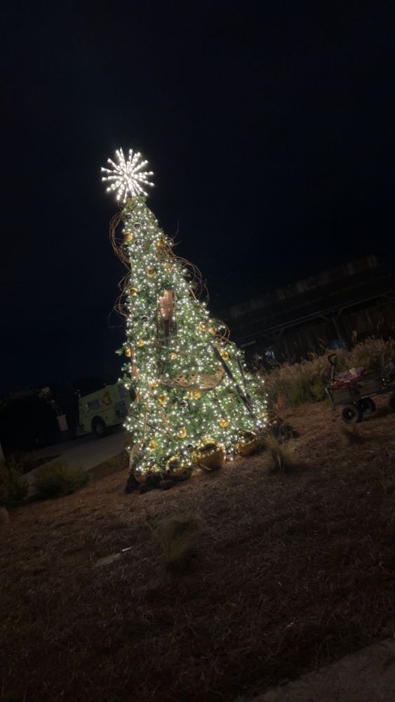 All Photos for Holiday Lighting Solutions in Huntsville, AL