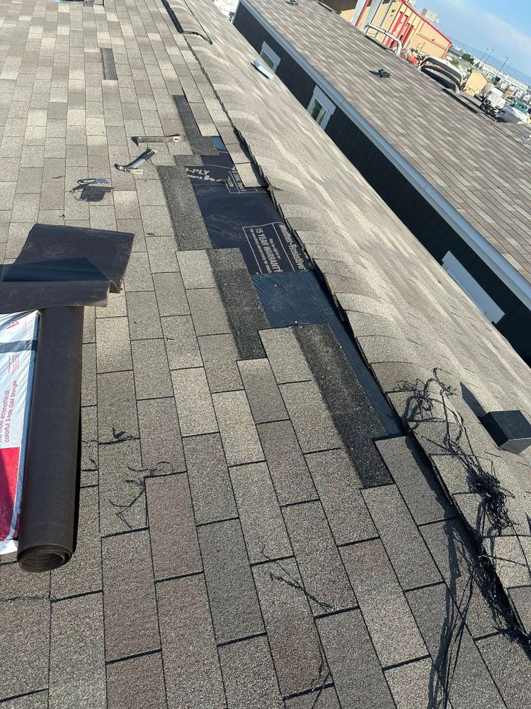 Roofing for Skyline Painting & Roofing in Grand Junction, CO