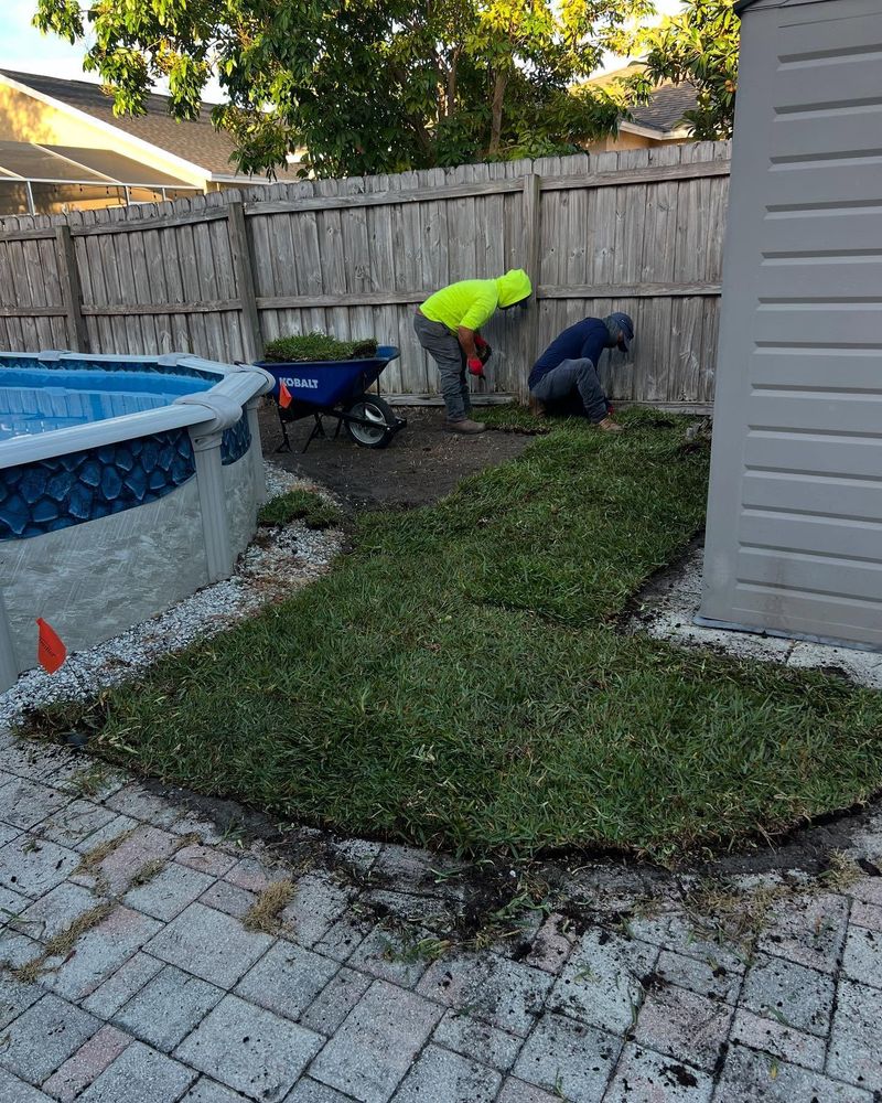 All Photos for AGT Landscape & Design LLC. in Saint Petersburg, FL