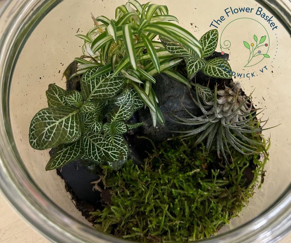 All Photos for The Dailey Daisy in Hardwick, VT