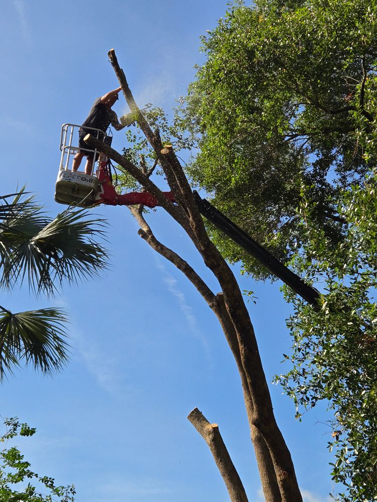 All Photos for Near Me Tree Service, Inc. in DeLand, FL