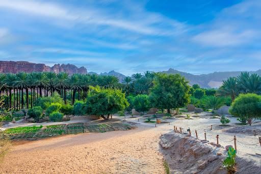 All Photos for Full Armor Landscapes in League City, TX