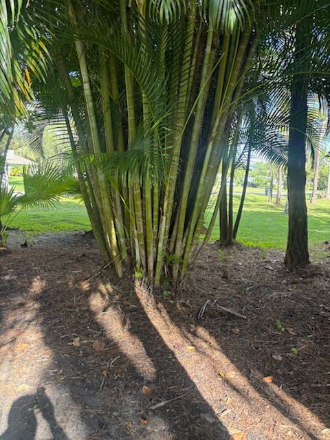 All Photos for Madissons Green in West Palm Beach ,   FL