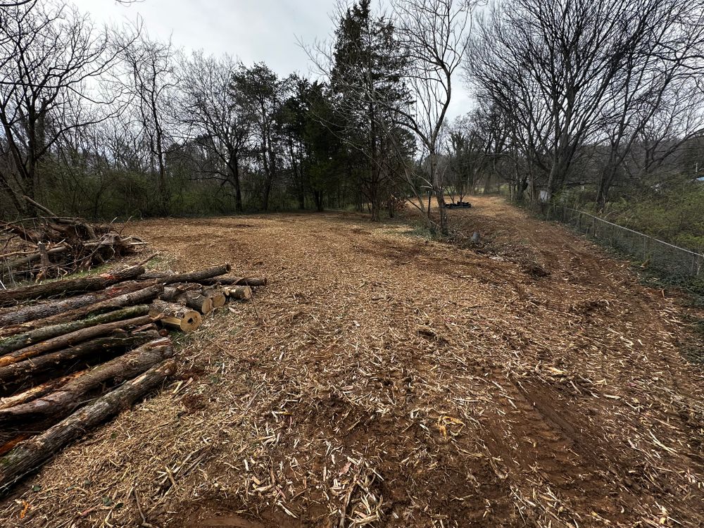 Clearing  for Holmes Septic Works LLC in Knoxville, TN 