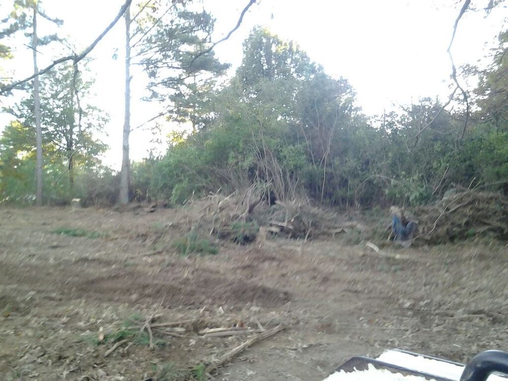 Tree Services for Wofford's Grading Clearing and Landscaping in Milton, GA