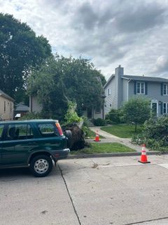 All Photos for Allstate Tree Service and Crane in Spring Lake Park, MN