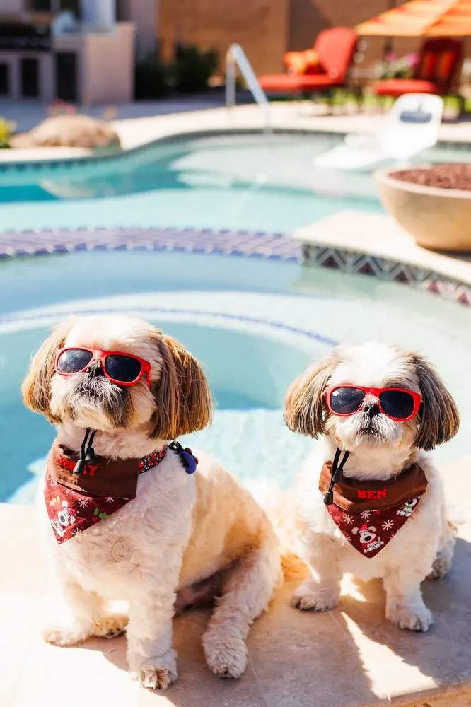 All Photos for Citiscapes, LLC in Phoenix, AZ