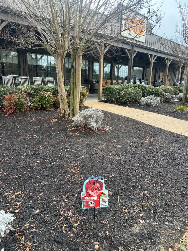 All Photos for Kathleen's Lawn & Shrub Care in Augusta, GA