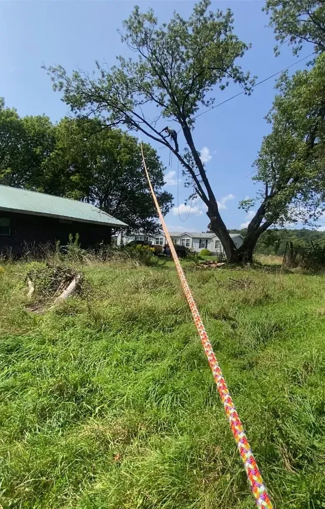 All Photos for Licensed to Cut Tree Service in Athens, PA