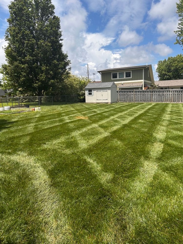 Lawn Care for Bailey’s Lawn Care & Dirt Service in Murray, KY