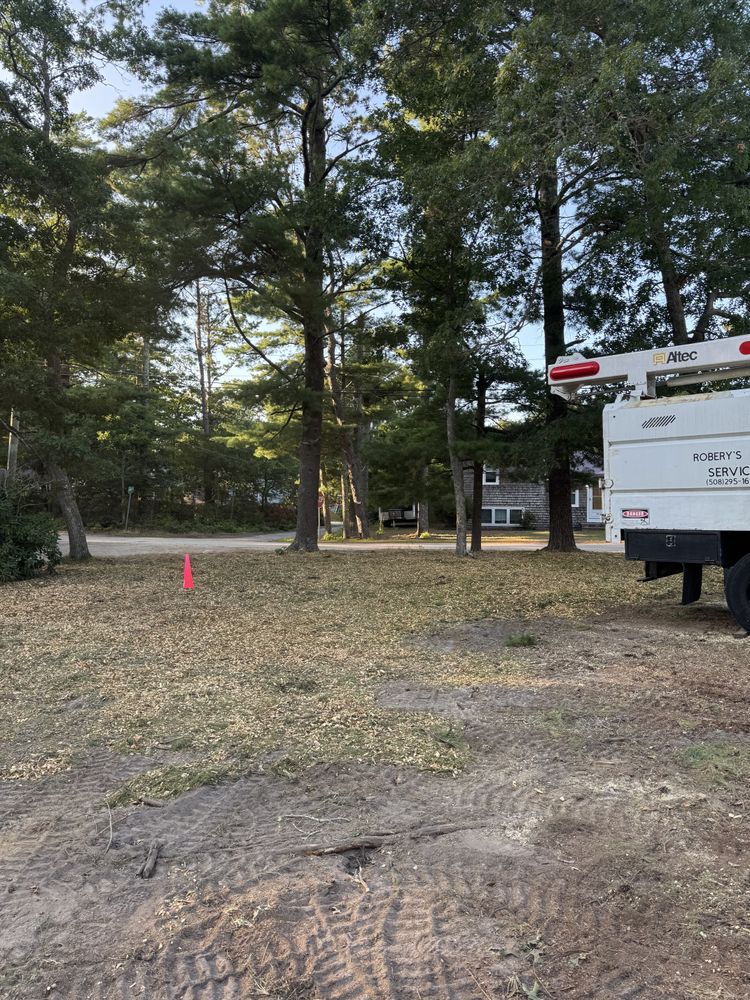 Tree Removal for Robery's Tree Service in West Wareham, MA