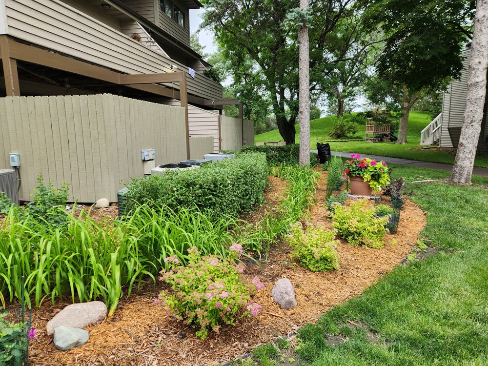 Hedge trimming  for K & I Lawn Care Service  in Eden Prarie, MN