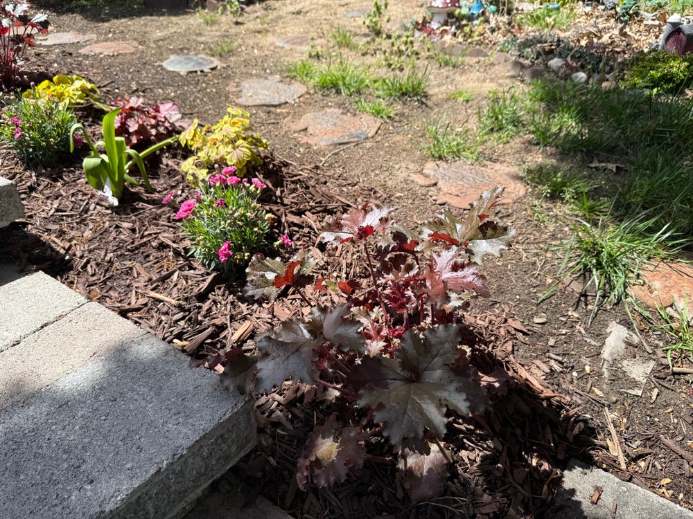 All Photos for Matteo Hardscapes in Towson,  MD