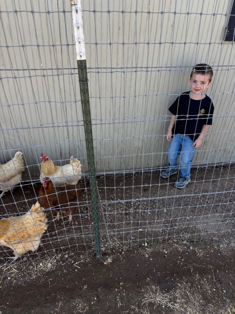 All Photos for Straight Edge Siding, Fencing & Decks in Pampa, TX