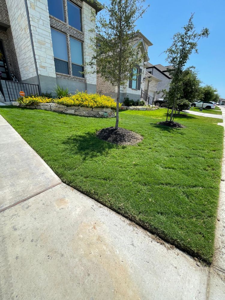 Core Aeration for Alamo Turf Works in San Antonio, TX