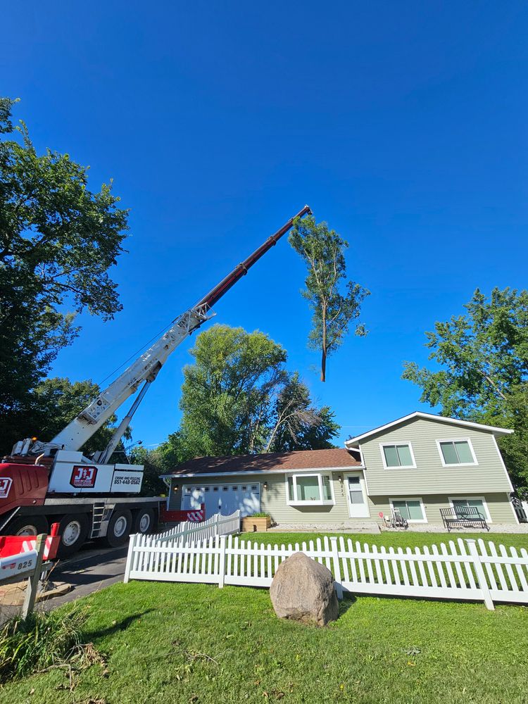 All Photos for Down To Earth Tree Service in Red Wing,  Minnesota