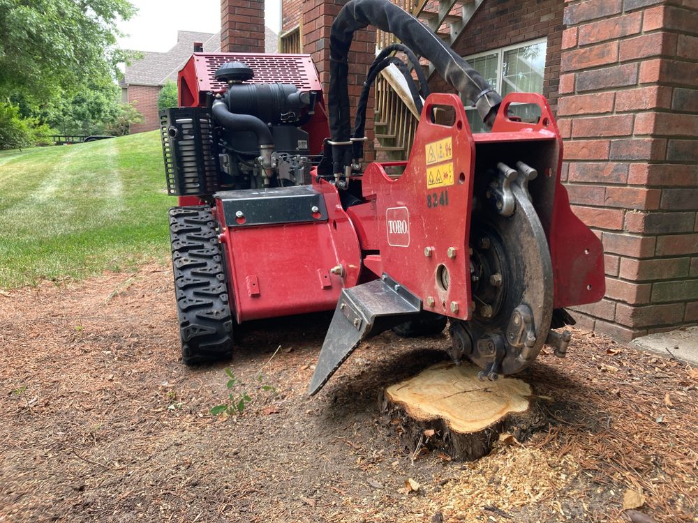 Tree Removal for Logan Tree Care LLC in Springfield, MO