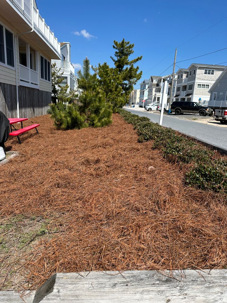 Landscaping for Indian River Lawns and Landscapes in Frankford, DE