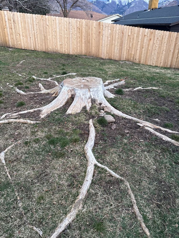 All Photos for Adventure Landscaping in Pleasant View, UT
