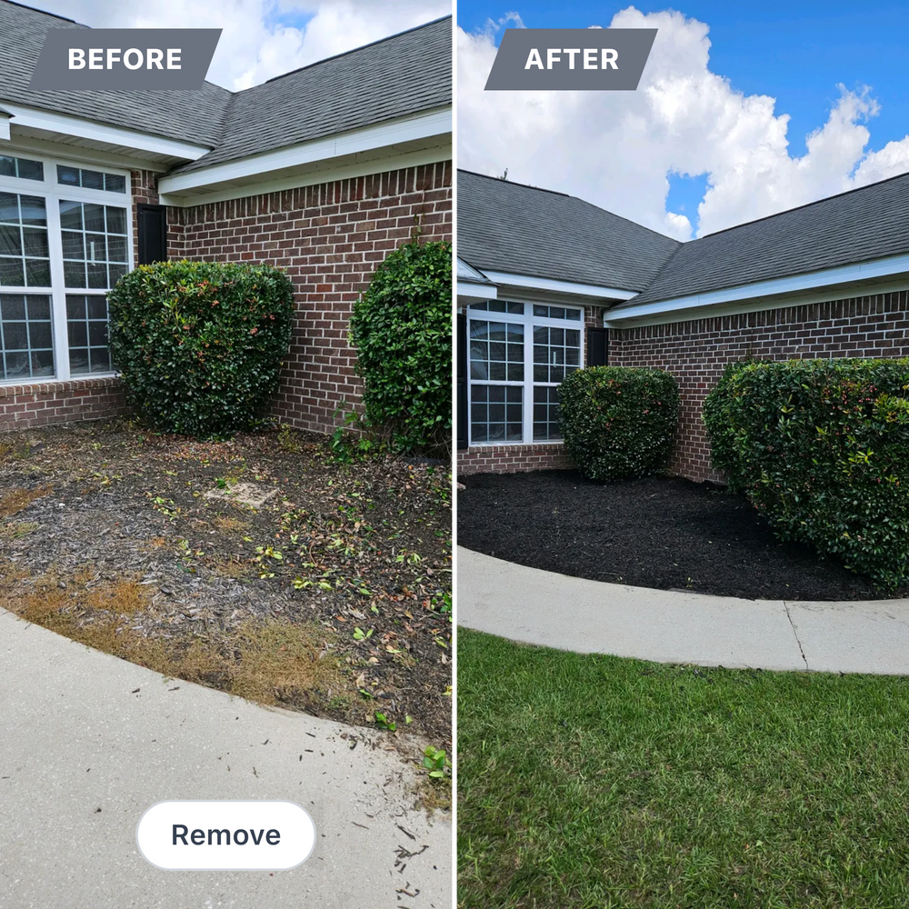 All Photos for T&S Land Management Services in Effingham County, GA