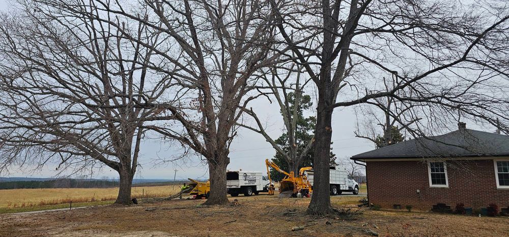 All Photos for Hamlett Tree Service LLC in Clover, VA