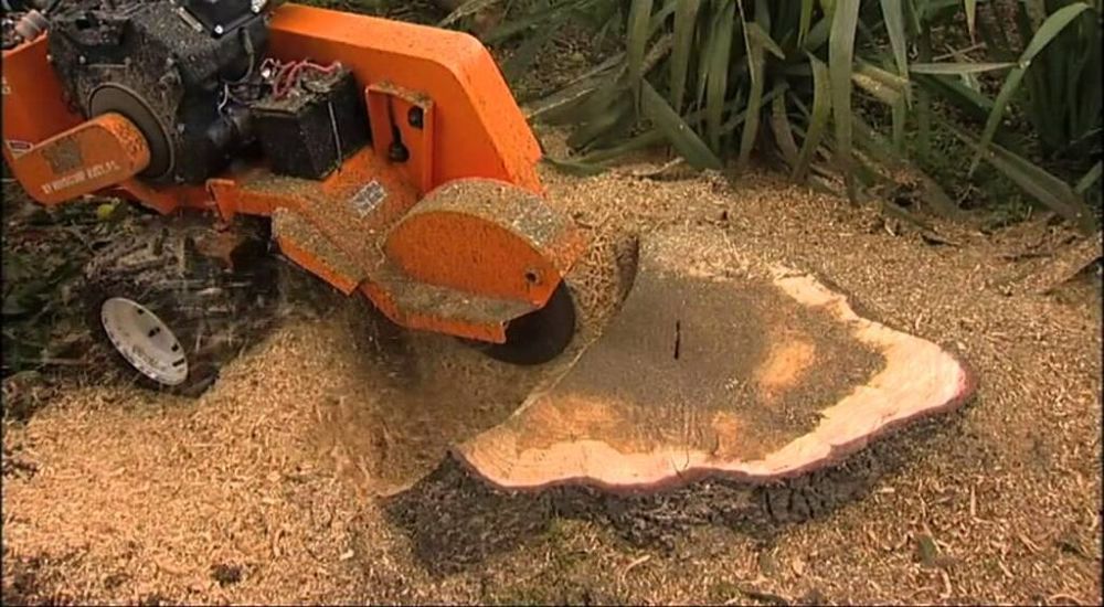 Our Stump Grinding and Removal service ensures efficient clearing of unwanted stumps, enhancing your property's appearance. Additionally, explore our comprehensive services including commercial snow removal for seamless year-round property management. for Mark Howard & Sons Logging & Excavating in Athens, TN