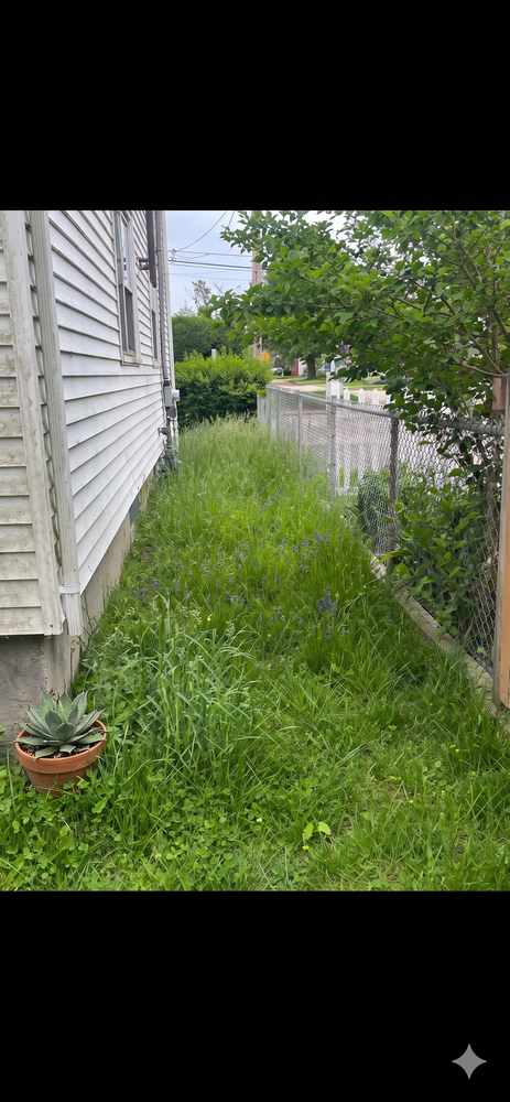 All Photos for Kingston Lawn Care in Warren, RI