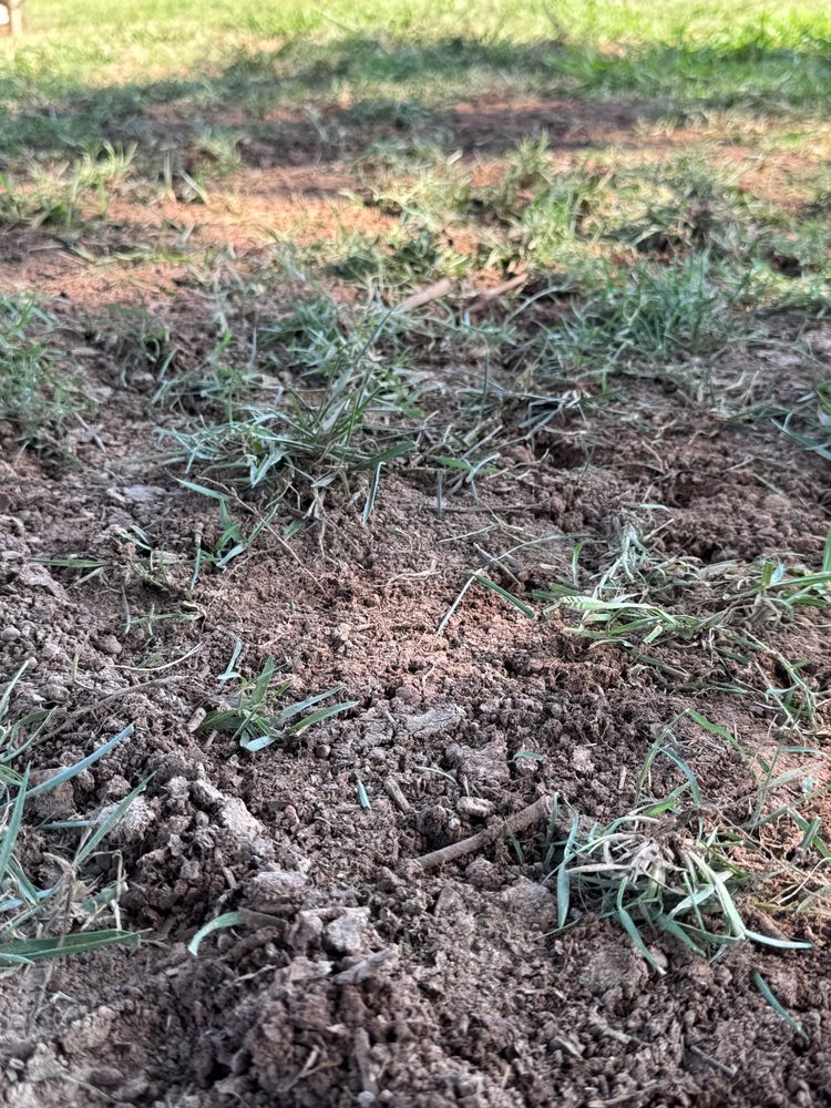 All Photos for Grandview Lawn Care in Norwood, NC