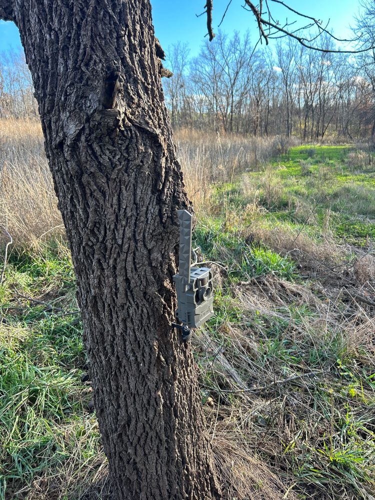 Our Trail Camera Upkeep service ensures optimal performance and longevity of your wildlife cameras by providing regular maintenance, cleaning, and technical support, enhancing your property’s environmental monitoring efforts. for Two Young Bucks in Leon, IA