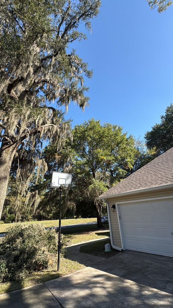 All Photos for Hawkins Tree Service & Land Management in Richmond Hill, GA