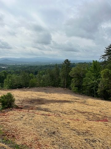 All Photos for A.P Land Management in Atlanta, Ga
